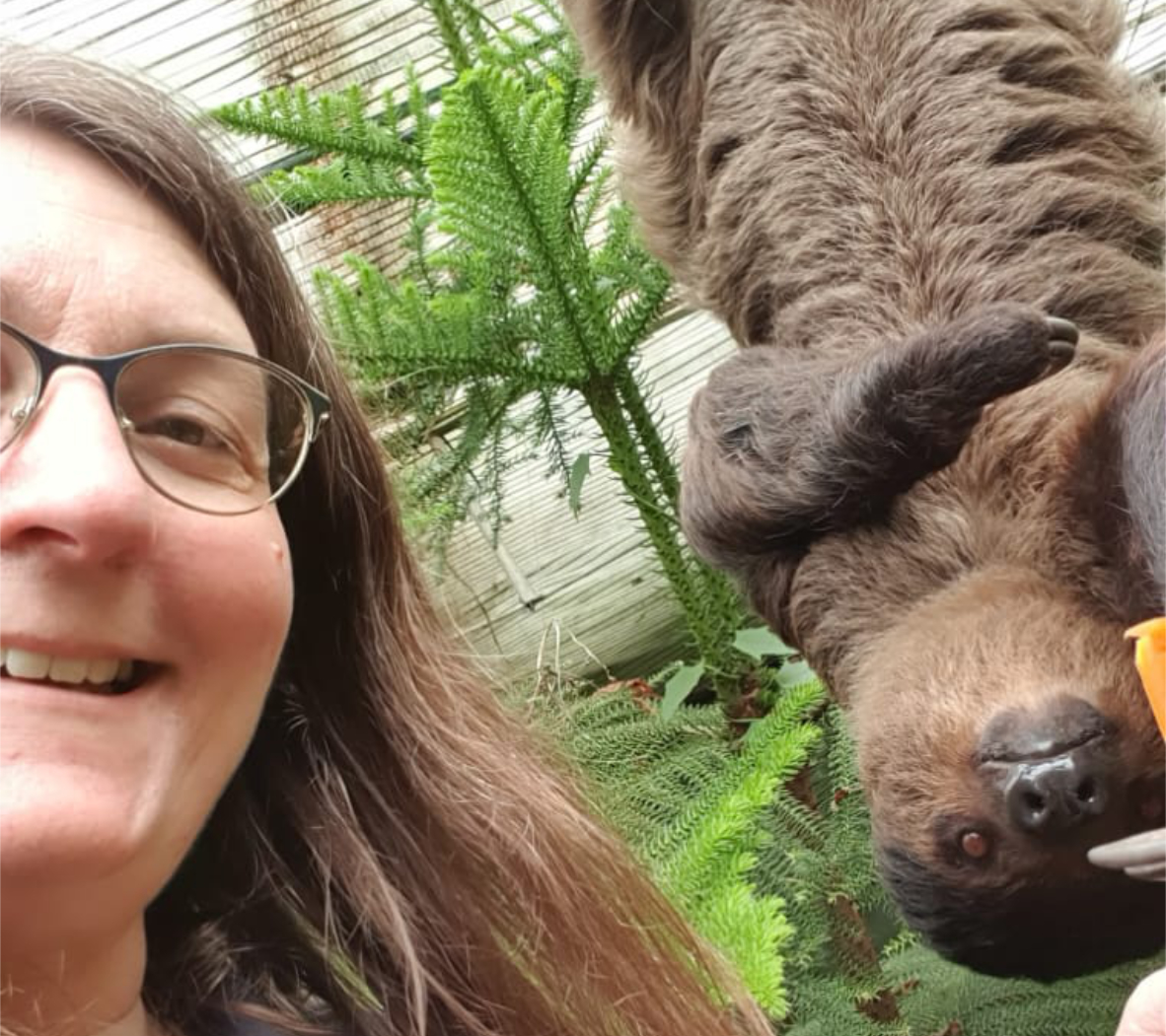 picture of Tina Bouttle (left) at the Rainforest Centre, with Cinnamon the Linne's Two-Toed Sloth